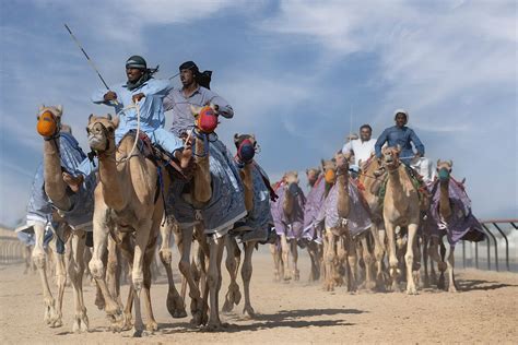 La Rebelión de los Beduinos: Una Fusión Explosiva de Descontento Social y Ambición Política en el Egipto Romano